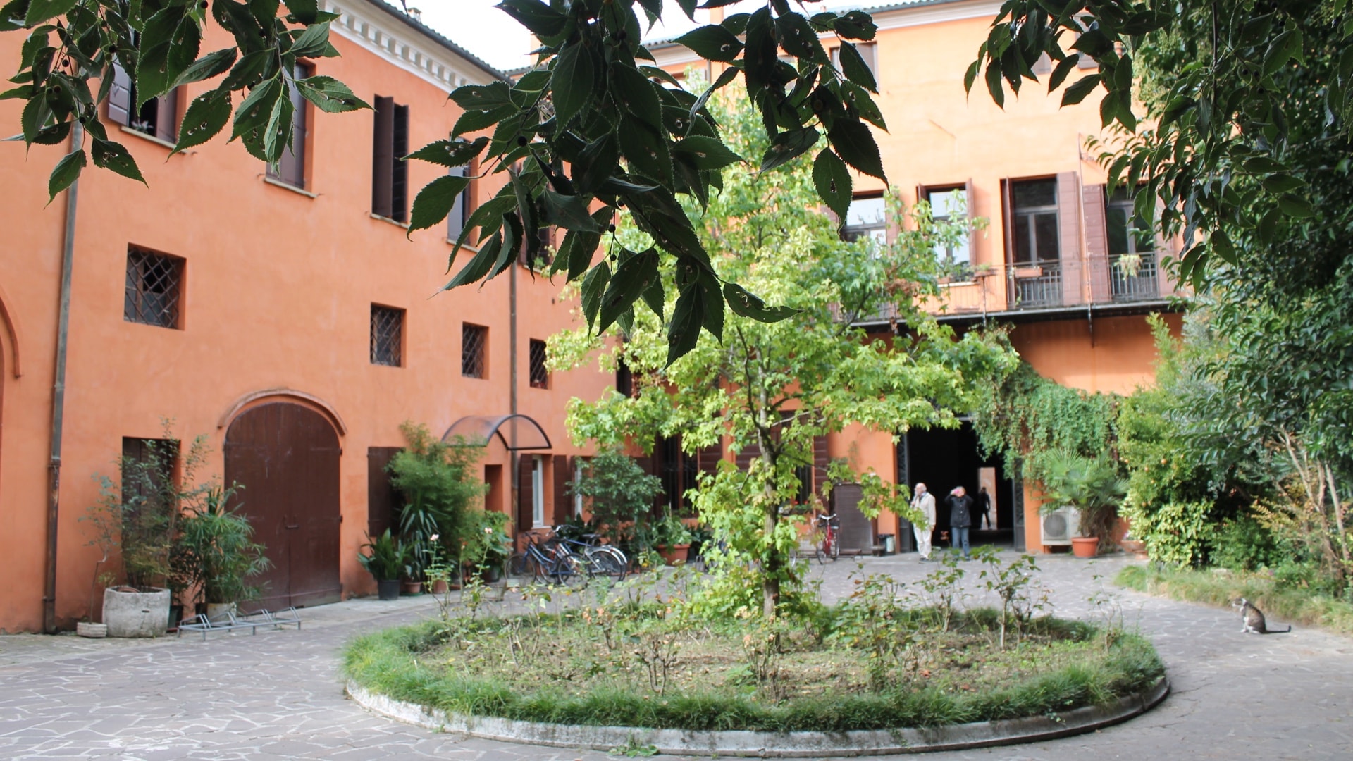 sl2-cu-albero-min
